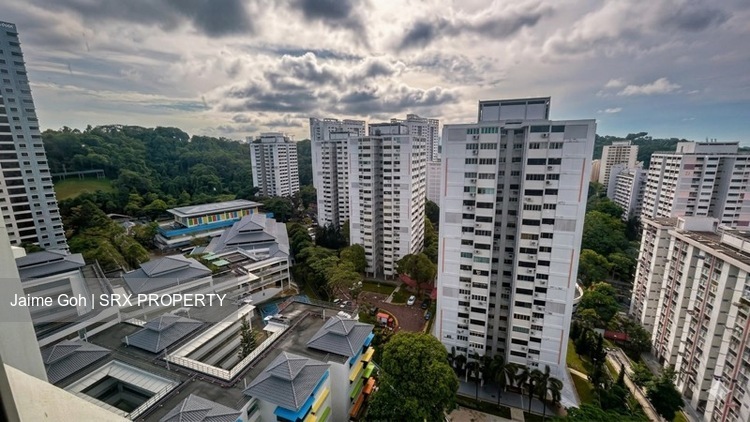 Blk 93B Telok Blangah Parcview (Bukit Merah), HDB 3 Rooms #563340981